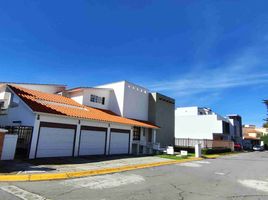 4 Schlafzimmer Wohnung zu verkaufen in Toluca, Mexico, Toluca