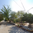 2 Schlafzimmer Haus zu verkaufen in Matamoros, Coahuila, Matamoros