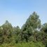  House for sale in Guarani, Misiones, Guarani