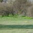  Land for sale in Melipilla, Santiago, Curacavi, Melipilla