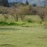  Land for sale in Melipilla, Santiago, Curacavi, Melipilla