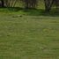  Land for sale in Melipilla, Santiago, Curacavi, Melipilla