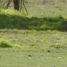  Land for sale in Melipilla, Santiago, Curacavi, Melipilla