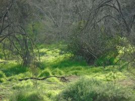  Land for sale in Melipilla, Santiago, Curacavi, Melipilla