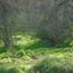  Land for sale in Curacavi, Santiago, Curacavi, Melipilla