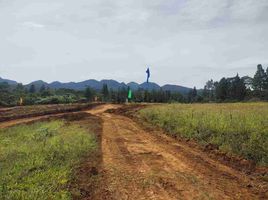  Grundstück zu verkaufen in Bukidnon, Northern Mindanao, Manolo Fortich, Bukidnon