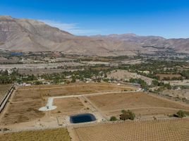  Land for sale in Chile, Vicuna, Elqui, Coquimbo, Chile