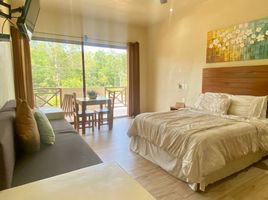 1 Bedroom House for rent in Cozumel, Quintana Roo, Cozumel, Quintana Roo, Mexico