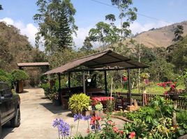  Villa for sale in Chimborazo, Riobamba, Riobamba, Chimborazo