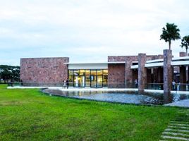  Terreno (Parcela) en venta en Calamba City, Calabarzon, Calamba City, Laguna, Calabarzon, Filipinas
