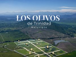  Terreno (Parcela) en venta en Chile, Marchihue, Cardenal Caro, Libertador General Bernardo O'Higgins, Chile