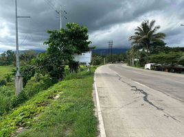  Terrain for sale in Puerto Princesa City, Palawan, Puerto Princesa City