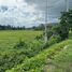  Terrain for sale in Puerto Princesa City, Palawan, Puerto Princesa City