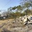  Terrain for sale in Ciudad Valles, San Luis Potosi, Ciudad Valles