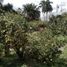 4 Bedroom Villa for sale in Tibacuy Cundinamarca, Tibacuy