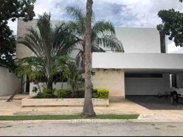 在Yucatan出租的3 卧室 屋, Merida, Yucatan