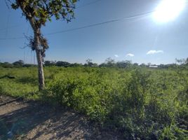  Grundstück zu verkaufen in Manta, Manabi, Santa Marianita Boca De Pacoche