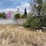  Grundstück zu verkaufen in Puebla, Puebla, Puebla, Puebla