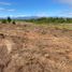  Land for sale in Chile, Puerto Montt, Llanquihue, Los Lagos, Chile