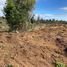  Land for sale in Chile, Puerto Montt, Llanquihue, Los Lagos, Chile
