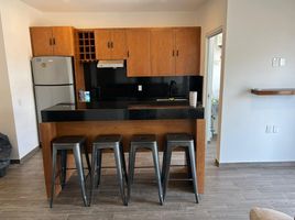 在Baja California Sur出租的2 卧室 公寓, La Paz, Baja California Sur