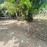  Land for sale in Compostela, Cebu, Compostela