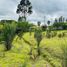  Terreno (Parcela) en venta en Cañar, Javier Loyola (Chuquipata), Azogues, Cañar