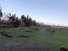  Terreno (Parcela) en venta en Chile, Requinao, Cachapoal, Libertador General Bernardo O'Higgins, Chile