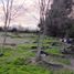 Terreno (Parcela) en venta en Chile, Requinao, Cachapoal, Libertador General Bernardo O'Higgins, Chile