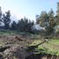  Terreno (Parcela) en venta en Chile, Requinao, Cachapoal, Libertador General Bernardo O'Higgins, Chile