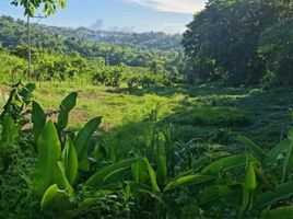  Land for sale in Cavite, Calabarzon, Tagaytay City, Cavite