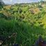  Land for sale in Cavite, Calabarzon, Tagaytay City, Cavite