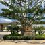 3 Habitación Apartamento en venta en Yaxkukul, Yucatán, Yaxkukul