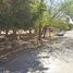 Maison 3 chambre à vendre à Torreon, Coahuila, Torreon, Coahuila
