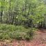  Land for sale in Chile, Pucon, Cautin, Araucania, Chile