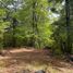  Land for sale in Chile, Pucon, Cautin, Araucania, Chile