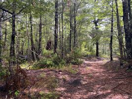  Land for sale in Chile, Pucon, Cautin, Araucania, Chile