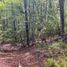  Land for sale in Chile, Pucon, Cautin, Araucania, Chile