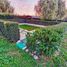  Terreno (Parcela) en venta en Maipo, Santiago, Buin, Maipo