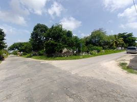  Land for sale in Izamal, Yucatan, Izamal