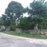  Land for sale in Izamal, Yucatan, Izamal