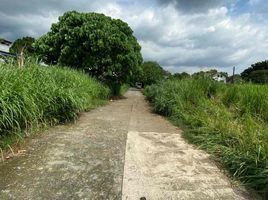  Land for sale in the Philippines, Quezon City, Eastern District, Metro Manila, Philippines