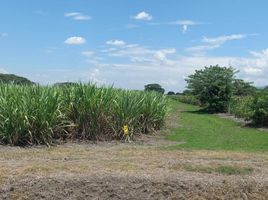 7 Habitación Casa en venta en Obando, Valle Del Cauca, Obando