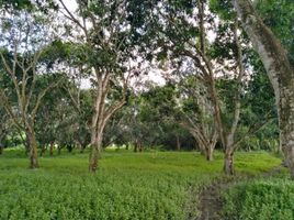  Land for sale in Negros Island Region, Amlan, Negros Oriental, Negros Island Region