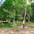  Land for sale in Sibulan, Negros Oriental, Sibulan