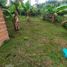  Land for sale in Penol, Antioquia, Penol