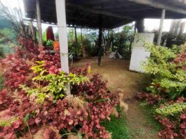  Terreno (Parcela) en venta en Penol, Antioquia, Penol