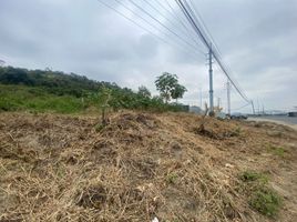  Terreno (Parcela) en venta en Daule, Guayas, Daule, Daule