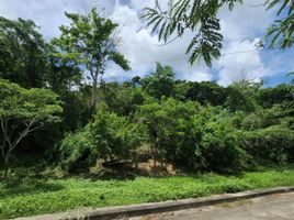  Terreno (Parcela) en venta en Cebu City, Central Visayas, Cebu City, Cebu, Central Visayas