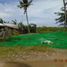  Grundstück zu verkaufen in Pilar, Western Visayas, Pilar, Capiz